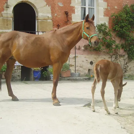 Nocleg ze śniadaniem La Ferme Rose Cergy